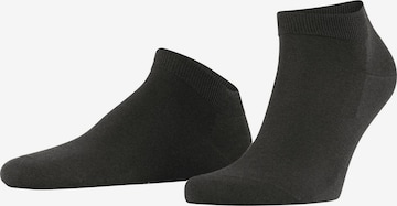 FALKE Socken 'ClimaWool' in Grau: Vorderseite