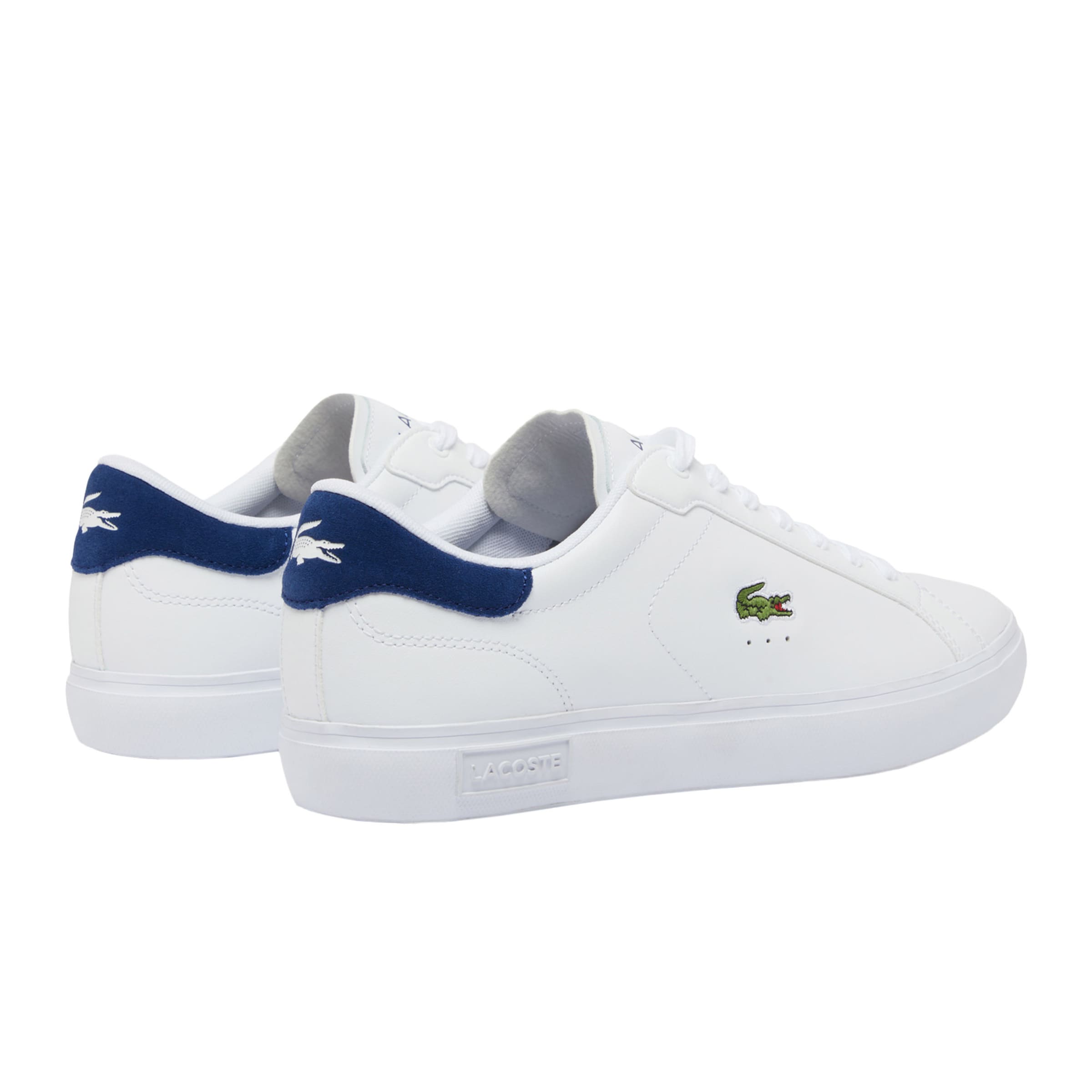 Baskets basses 'Powercourt' LACOSTE en blanc