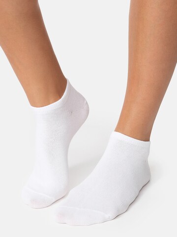 Nur Die Socks ' Baumwolle ' in White: front