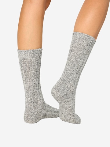 Nur Die Sokken ' Woll Socken ' in Grijs