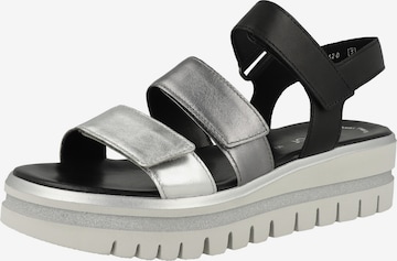 Sandalo con cinturino '64.620' di GABOR in grigio: frontale