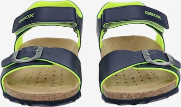 GEOX Sandals & Slippers in Blue