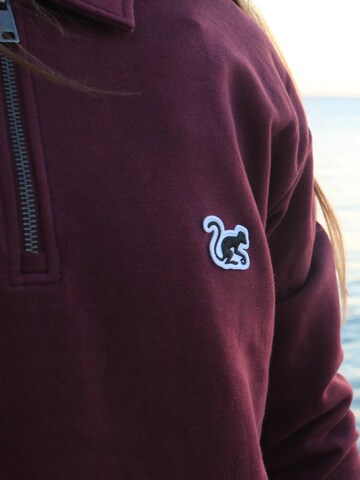 Sweat-shirt Surf Monkey en rouge