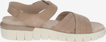 CAPRICE Sandals in Brown