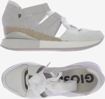 GIOSEPPO Sneakers & Trainers in 38 in White: front