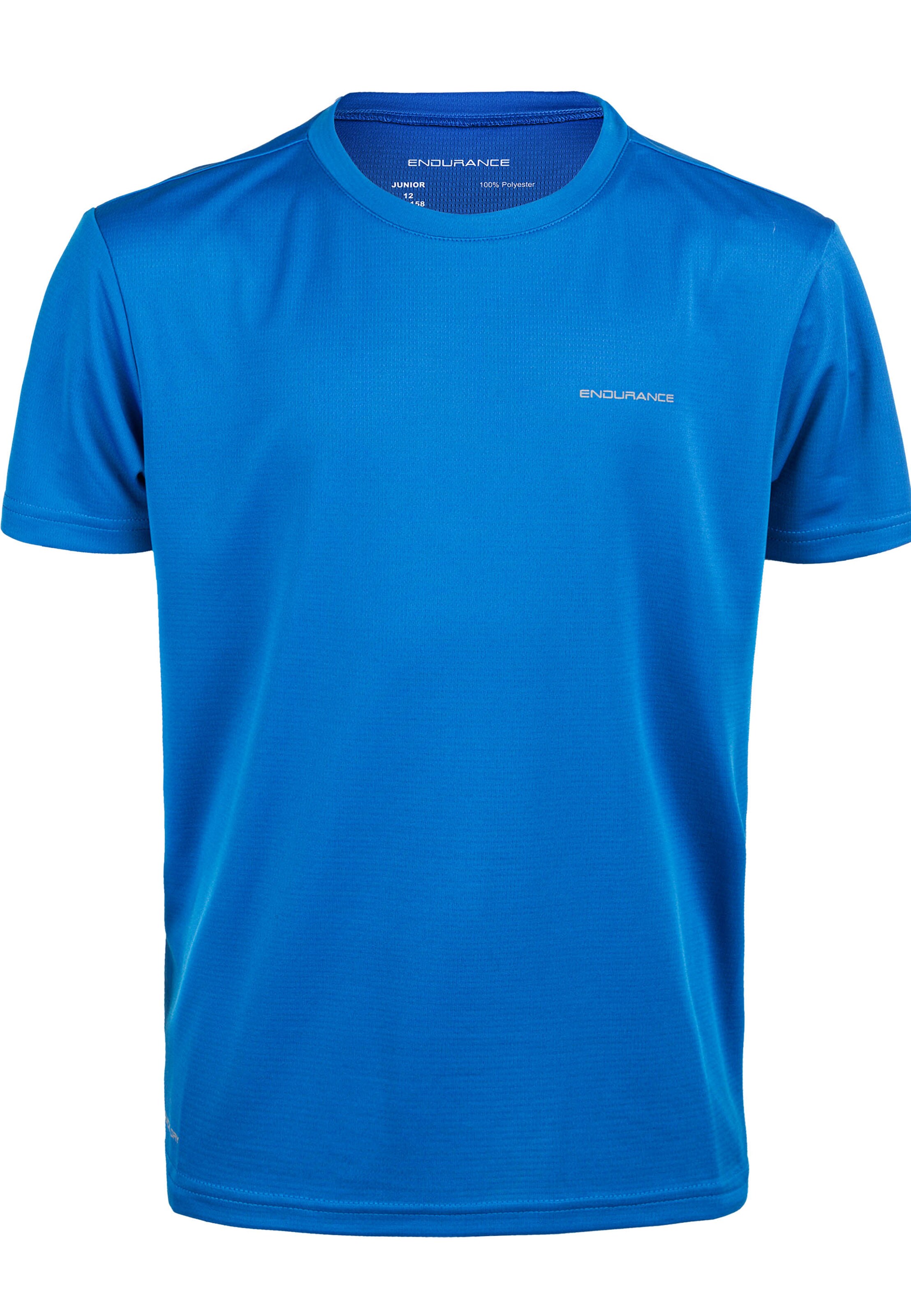 ENDURANCE Funktionsshirt 'Vernon' in Blau: Vorderseite