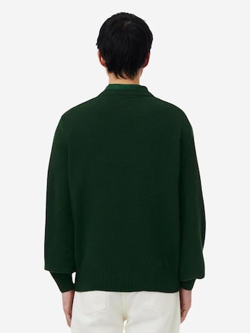 LACOSTE Pullover‌‌‌‌ in Grün