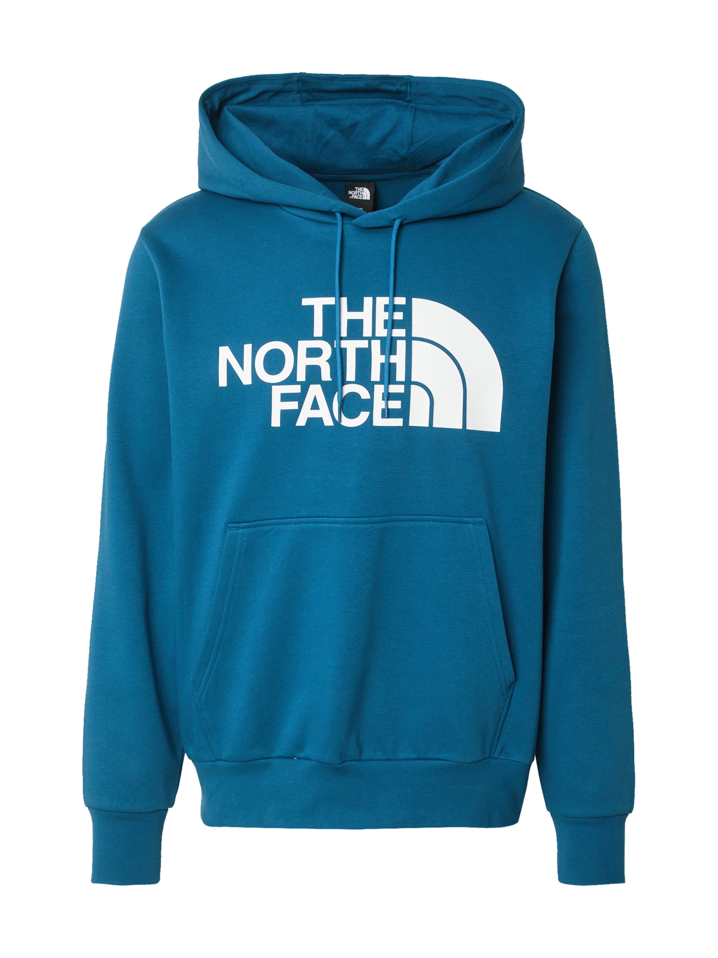 Felpa 'EASY' di THE NORTH FACE in blu: frontale