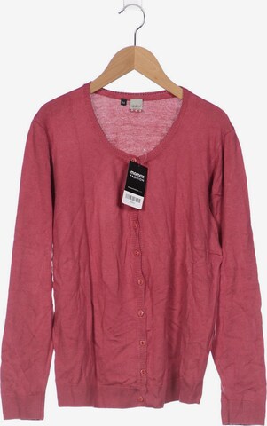 Qiero Strickjacke XXL in Pink: predná strana