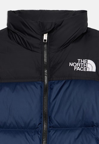 THE NORTH FACE Outdoorjas in Blauw