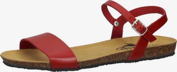 Plakton Strap Sandals in Red: front