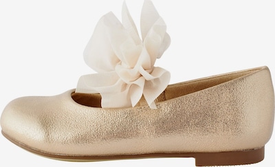 Next Balerinke u zlatna, Pregled proizvoda