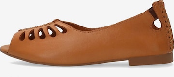 VENEZIA Ballet Flats in Brown: front