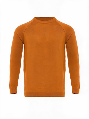 Pullover di Antioch in arancione: frontale
