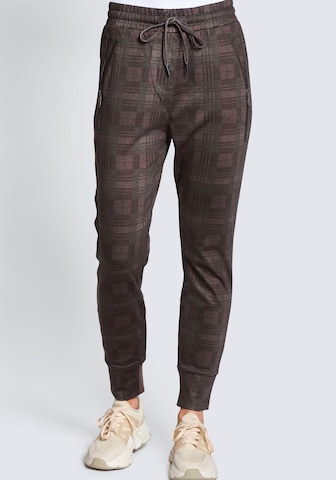 Zhrill Pants in Brown: front