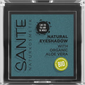 Sante Naturkosmetik Eyeshadow in Black: front