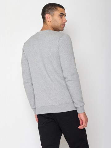 GREENBOMB Sweatshirt 'Animal Bearland' in Grey