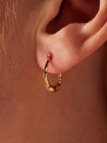 Lucardi Earrings 'Klassisch' in Gold: front