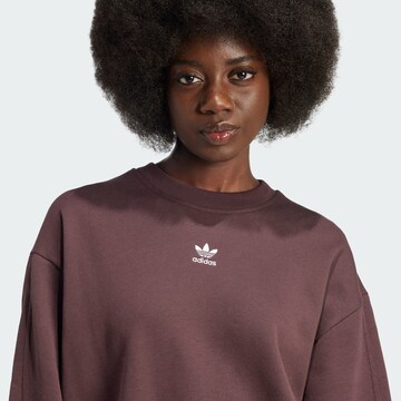 ADIDAS ORIGINALS Sweatshirt 'Essentials' in Brown