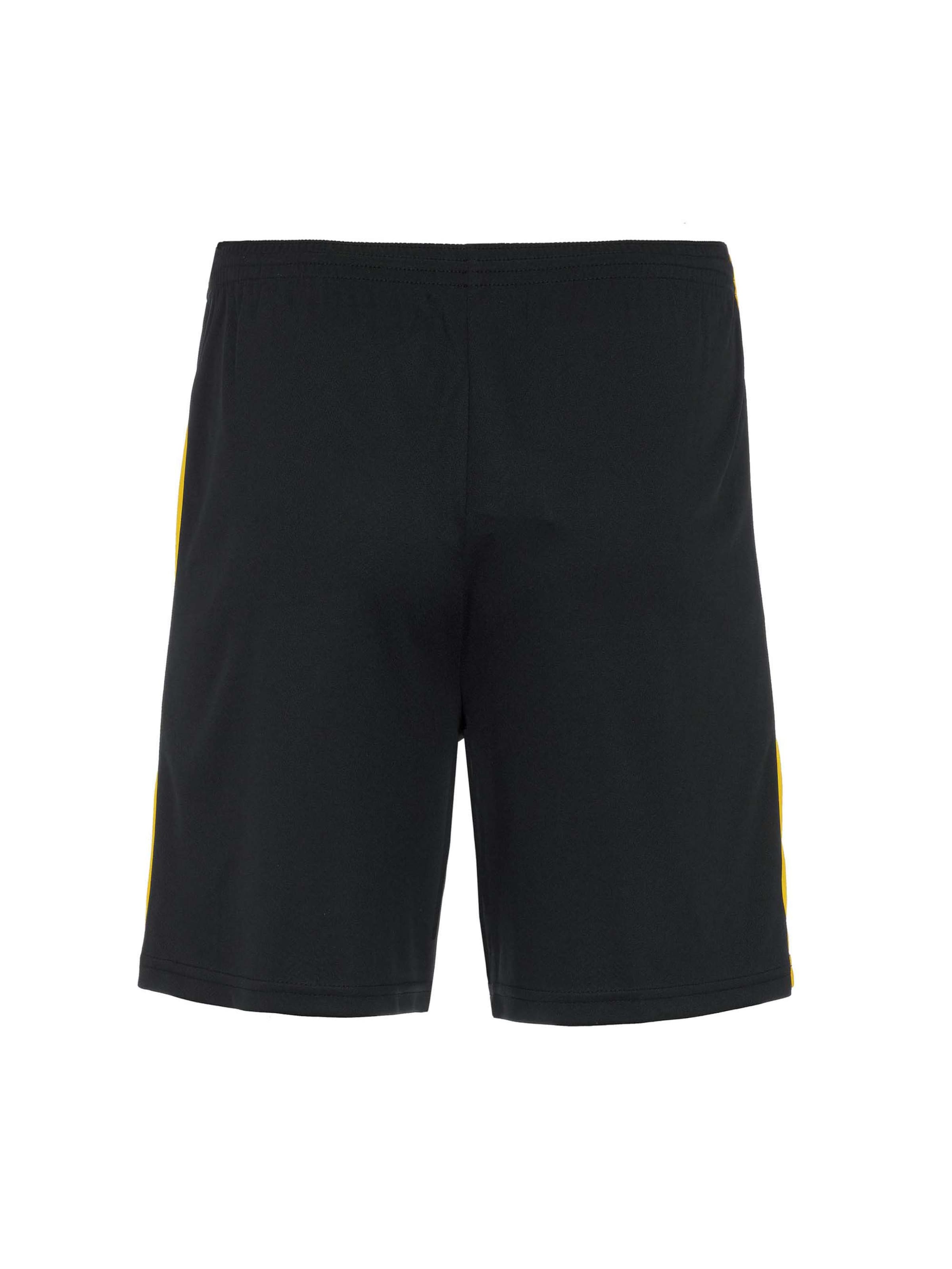 Errea Regular Sporthose in Schwarz