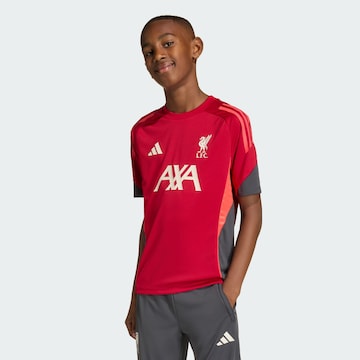 ADIDAS PERFORMANCE Performance shirt 'FC Liverpool Tiro 25 Competition' in Red: front