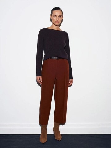 Dilvin Regular Pants in Brown: front