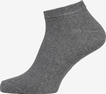 Albert Schäfer Socken (GOTS) in Grau: predná strana