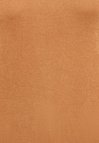 T-shirt DreiMaster Klassik en marron