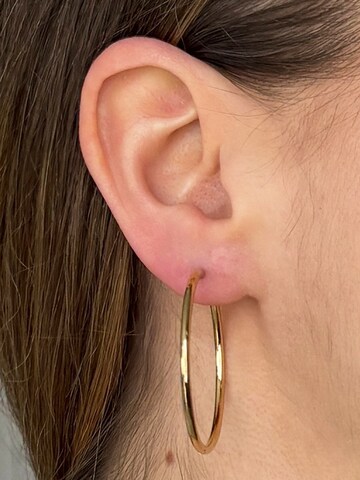 lePelou Earrings 'SERENA' in Gold