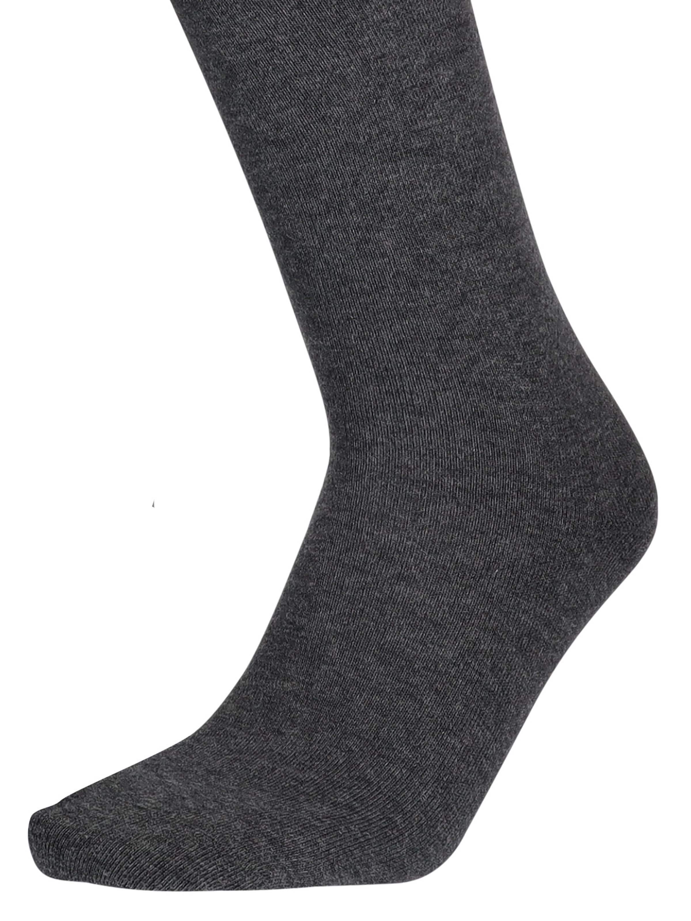 Chaussettes montantes Hudson en gris