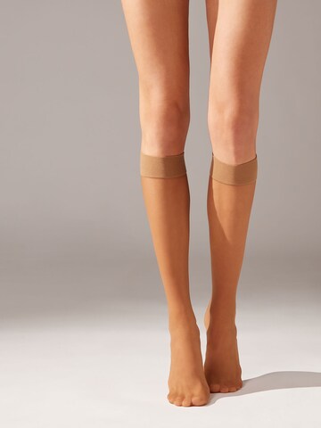 CALZEDONIA Knee High Socks in Beige: front