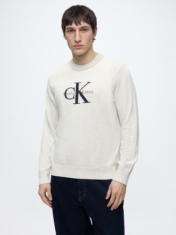 Pull-over Calvin Klein Jeans en gris : devant