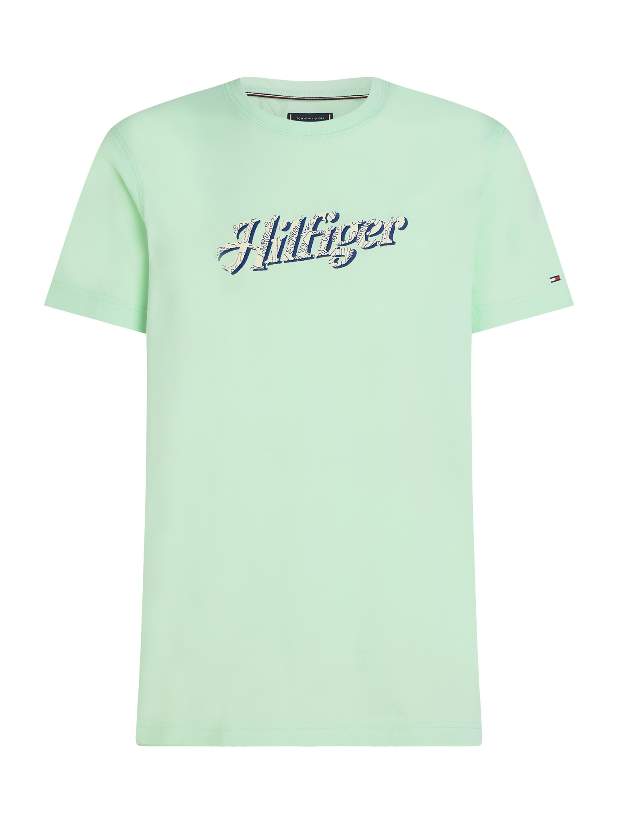 zaļš TOMMY HILFIGER T-Krekls 'SUMMER': no priekšpuses