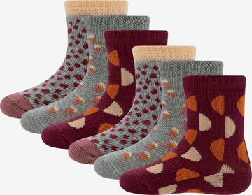 EWERS Socken in Grau: predná strana