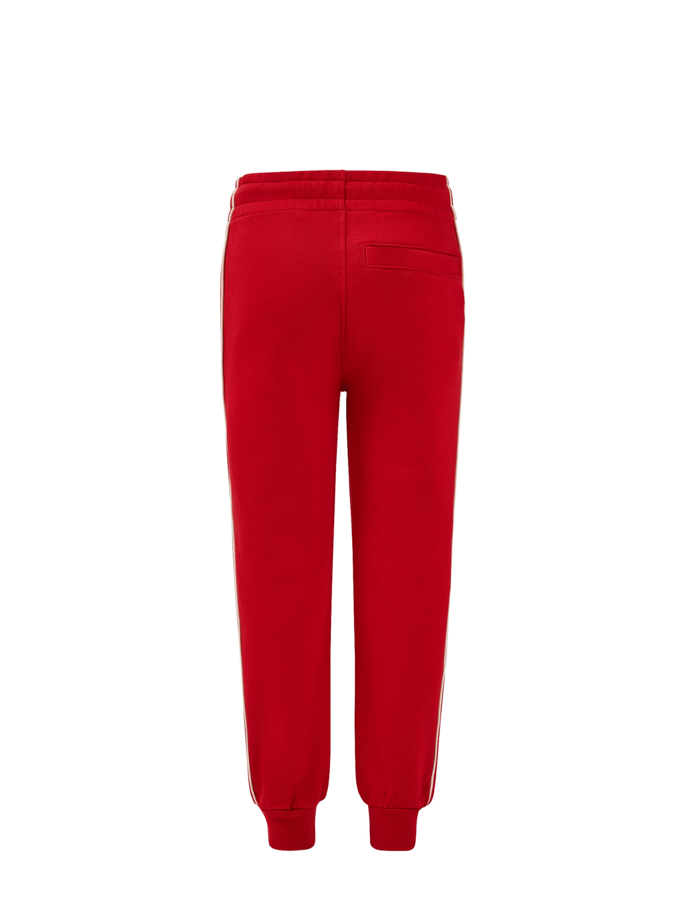 FC BAYERN MÜNCHEN Regular Pants in Red
