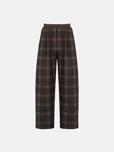 ENRAGE Pleat-Front Pants 'ENRAGE' in Brown, Item view