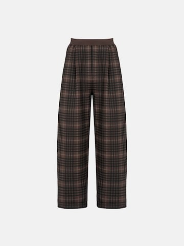 ENRAGE Loose fit Pleat-Front Pants 'ENRAGE' in Brown: front