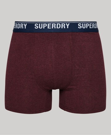 Superdry Boxershorts in Rood