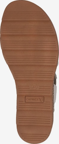 CAPRICE Sandalen met riem in Beige