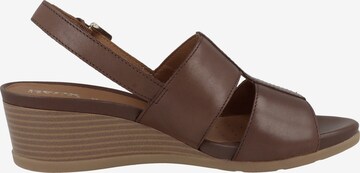 Sandales ' Marykarmen' GEOX en marron