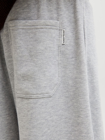 JACK & JONES Regular Trousers in Grey