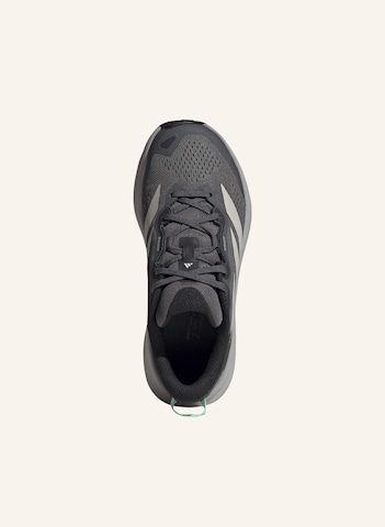 ADIDAS TERREX Loopschoen 'Tracefinder Plus' in Grijs