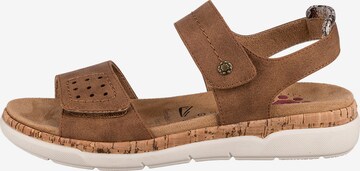 Relife Sandals 'Herich' in Brown