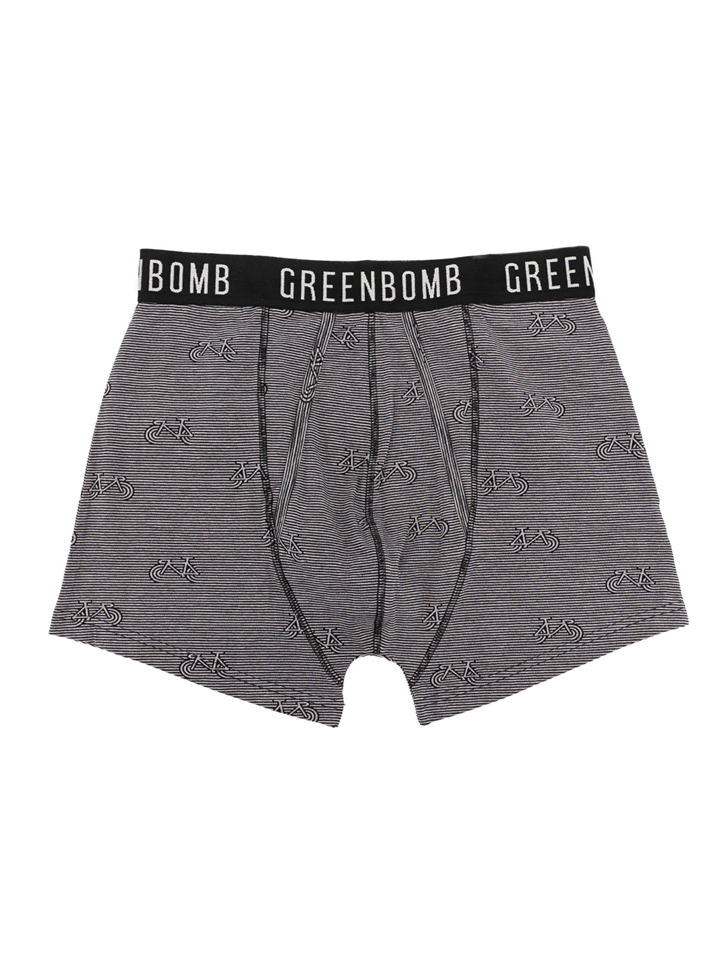 GREENBOMB Boxershorts 'Bike Geo' in Grijs: voorkant