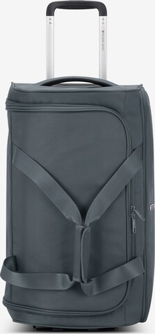 Roncato Travel Bag in Grey: front