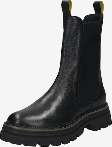 Chelsea Boots SALAMANDER en noir : devant
