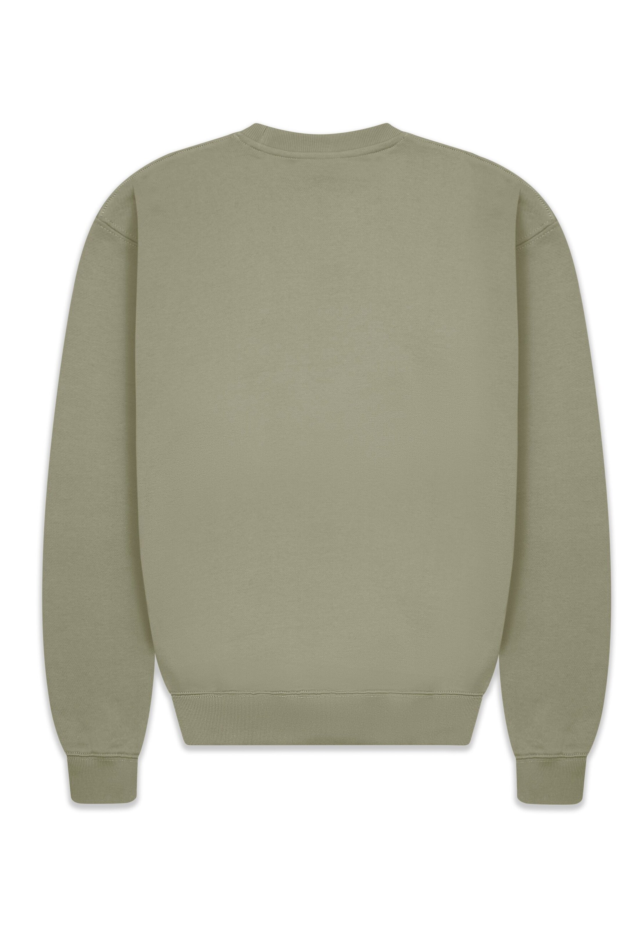 Dropsize Sweatshirt in Green