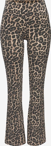 BUFFALO Bootcut Leggings in Braun: Vorderseite