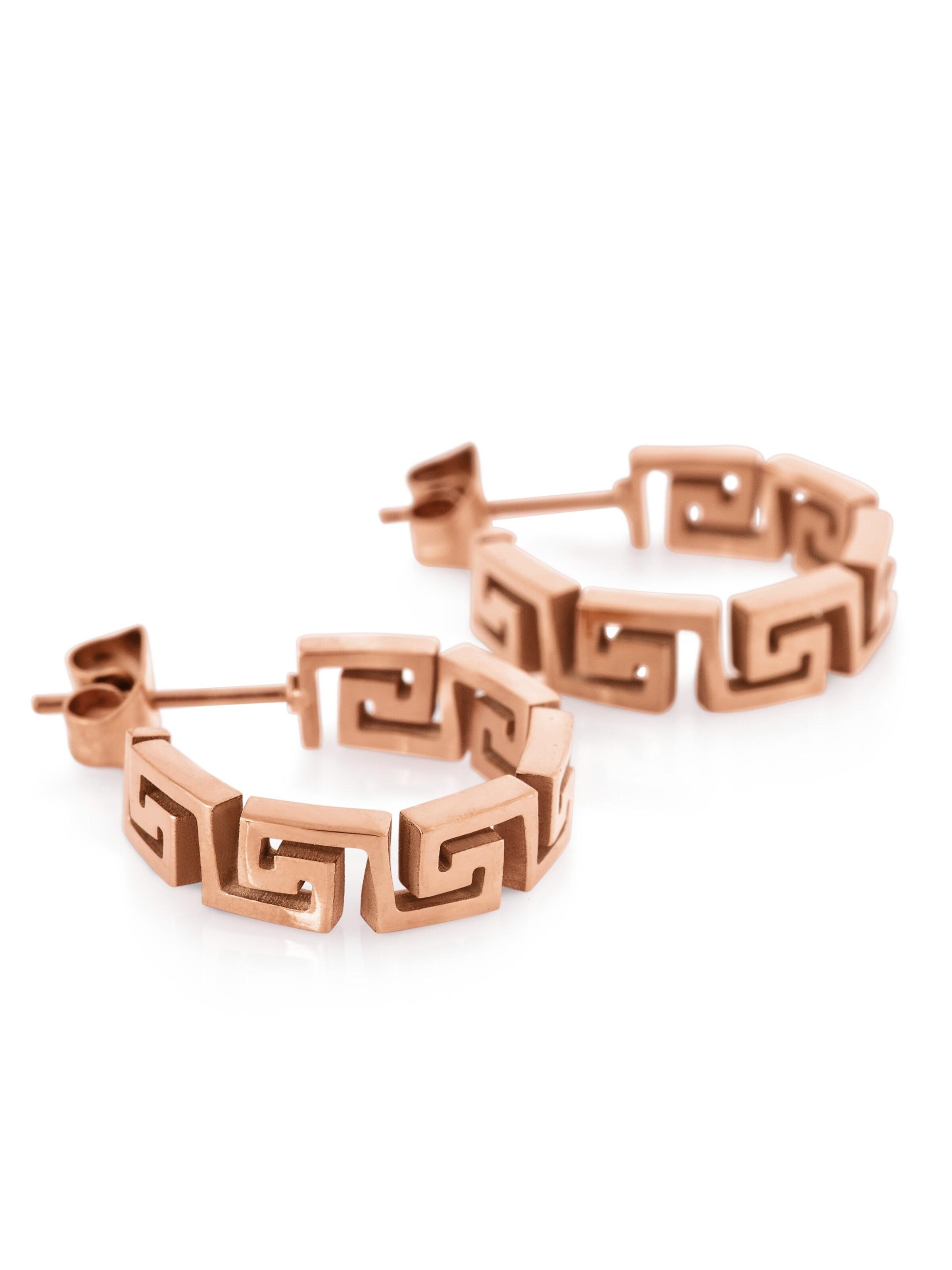 Akitsune Earrings 'Argius' in Gold