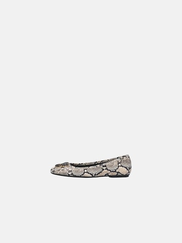 Ballerines PINKO en gris : devant